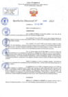 Vista preliminar de documento RD N 685