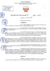 Vista preliminar de documento RD N 686