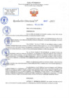 Vista preliminar de documento RD N 687