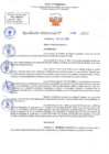 Vista preliminar de documento RD N 688