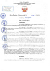 Vista preliminar de documento RD N 689