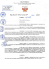 Vista preliminar de documento RD N 691