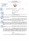 Vista preliminar de documento RD N 692