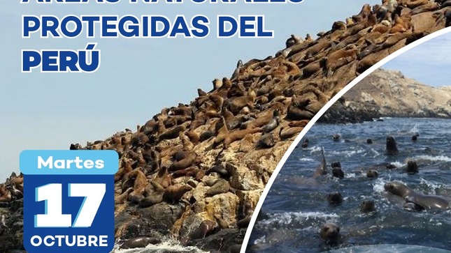 17 de octubre