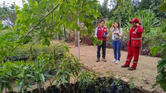 En el contexto de la tercera edición de la "Gran Cruzada Verde" Nacional en conmemoración de la Semana de la Acción Forestal Nacional, la gerencia de Desarrollo Ambiental de la Municipalidad Provincial de Cajamarca ha estado llevando a cabo una serie de actividades esenciales para la exitosa ejecución de esta importante campaña.
🤝Dentro de estas actividades, se incluyen visitas técnicas al vivero municipal, donde se ha trabajado en estrecha colaboración con expertos en la materia. Además, se han llevado a cabo reuniones de coordinación con destacados actores en el ámbito ambiental, como la Oficina de Evaluación y Fiscalización Ambiental (OEFA) y la Escuela Taller San Antonio. Estas reuniones han sido fundamentales para adquirir valiosas directrices que garantizarán la correcta implementación de la campaña y con plantones nativos como: Huaranguay, Aliso, Capulí, Mutuy, , Sauces, Lanche, Pajuros, Mutuy, entre otros.
🪴La "Gran Cruzada Verde" Nacional es una iniciativa trascendental que refleja nuestro compromiso con la preservación y restauración de nuestros recursos naturales. La gerencia de Desarrollo Ambiental continuará trabajando incansablemente para hacer de esta campaña un éxito rotundo, promoviendo la conciencia ambiental y fomentando la participación activa de la comunidad en la protección de nuestro entorno.