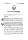 Vista preliminar de documento RD 012-2019-SA-DG-INR