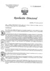 Vista preliminar de documento RD 011-2019-SA-DG-INR