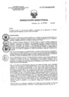 Vista preliminar de documento RD 004-2019-SA-DG-INR
