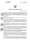 Vista preliminar de documento RD 017-2019-SA-DG-INR