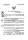 Vista preliminar de documento RD 056-2019-SA-DG-INR