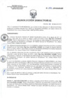 Vista preliminar de documento RD 053-2019-SA-DG-INR