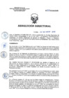 Vista preliminar de documento RD 059-2019-SA-DG-INR