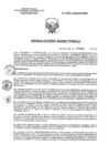 Vista preliminar de documento RD 060-2019-SA-DG-INR