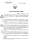 Vista preliminar de documento RD 065-2019-SA-DG-INR