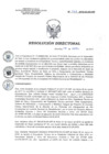Vista preliminar de documento RD 069-2019-SA-DG-INR