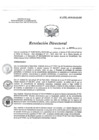 Vista preliminar de documento RD 072-2019-SA-DG-INR