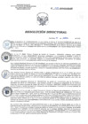 Vista preliminar de documento RD 075-2019-SA-DG-INR