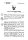 Vista preliminar de documento RD 071-2019-SA-DG-INR