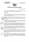 Vista preliminar de documento RD 111-2019-SA-DG-INR
