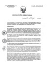Vista preliminar de documento RD 110-2019-SA-DG-INR