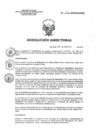 Vista preliminar de documento RD 116-2019-SA-DG-INR