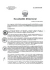 Vista preliminar de documento RD 114-2019-SA-DG-INR