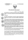 Vista preliminar de documento RD 120-2019-SA-DG-INR