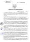 Vista preliminar de documento RD 132-2019-SA-DG-INR