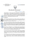 Vista preliminar de documento RD 118-2019-SA-DG-INR