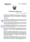 Vista preliminar de documento RD 180-2019-SA-DG-INR