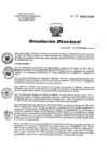 Vista preliminar de documento RD 197-2019-SA-DG-INR