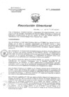 Vista preliminar de documento RD 196-2019-SA-DG-INR