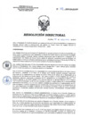 Vista preliminar de documento RD 200-2019-SA-DG-INR