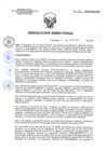 Vista preliminar de documento RD 210-2019-SA-DG-INR