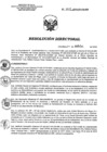 Vista preliminar de documento RD 213-2019-SA-DG-INR