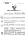 Vista preliminar de documento RD 216-2019-SA-DG-INR