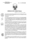 Vista preliminar de documento RD 218-2019-SA-DG-INR