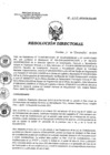 Vista preliminar de documento RD 225-2019-SA-DG-INR
