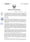 Vista preliminar de documento RD 223-2019-SA-DG-INR