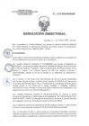 Vista preliminar de documento RD 227-2019-SA-DG-INR