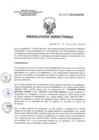 Vista preliminar de documento RD 229-2019-SA-DG-INR