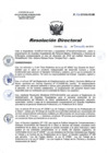 Vista preliminar de documento RD 231-2019-SA-DG-INR