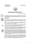 Vista preliminar de documento RD 232-2019-SA-DG-INR