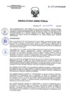 Vista preliminar de documento RD 234-2019-SA-DG-INR