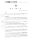 Vista preliminar de documento RD 228-2023-DG-HSB