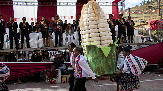 foto de publicación