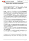Vista preliminar de documento RG207