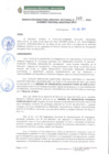 Vista preliminar de documento RDRS 243-2023 