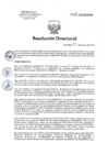 Vista preliminar de documento RD 008-2018-SA-DG-INR