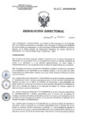 Vista preliminar de documento RD 009-2018-SA-DG-INR